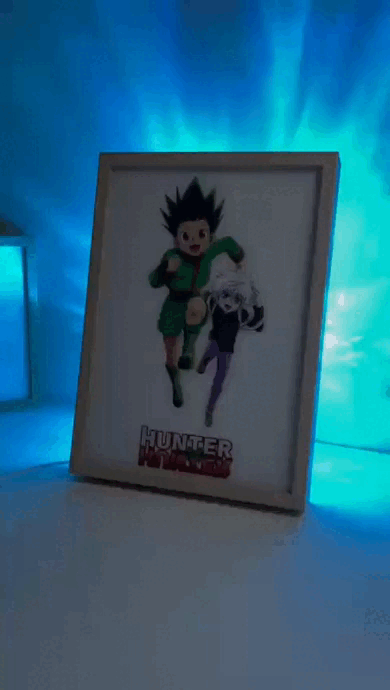 Hunter x hunter: Gon. LED frame